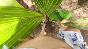 Piss on Small Palm Tree (I made a Tropical Golden Shower)